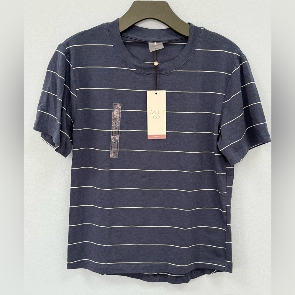 CALIA Women's Everyday Relaxed Tee NWT Ardosia Slate Stripe Blue XS Retail $38